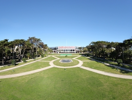 Jardins Do Casino Estoril Street Food